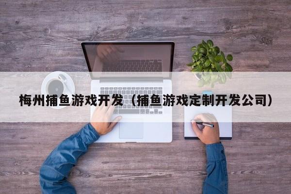 梅州捕鱼游戏开发（捕鱼游戏定制开发公司）