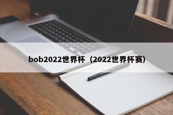 bob2022世界杯（2022世界杯赛）