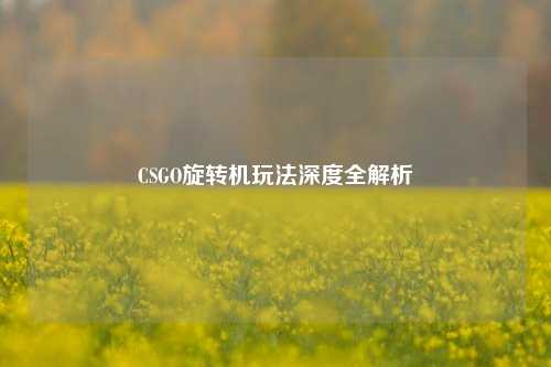 CSGO旋转机玩法深度全解析 CSGO旋转机玩法深度全解析