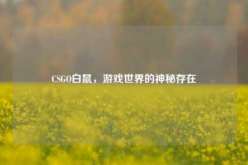 CSGO白鼠，游戏世界的神秘存在