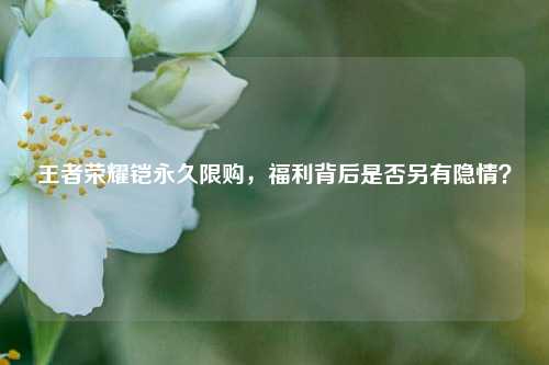 王者荣耀铠永久限购，福利背后是否另有隐情？