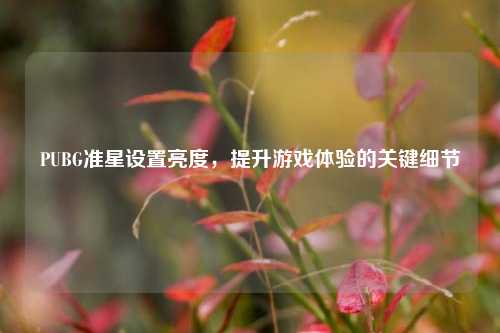 PUBG准星设置亮度，提升游戏体验的关键细节