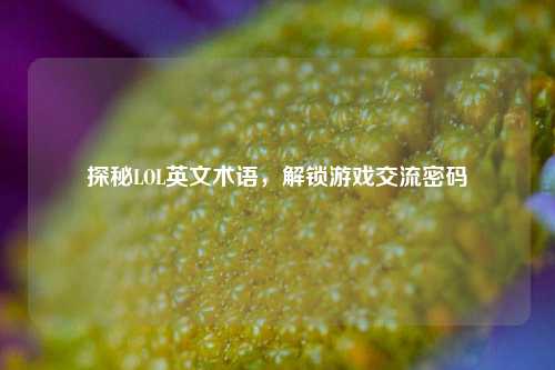 探秘LOL英文术语，解锁游戏交流密码