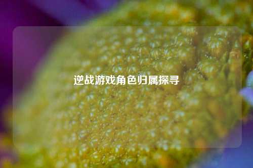 逆战游戏角色归属探寻