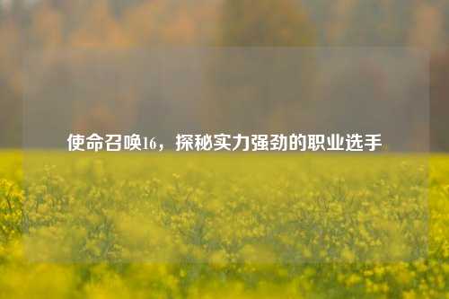 使命召唤16，探秘实力强劲的职业选手