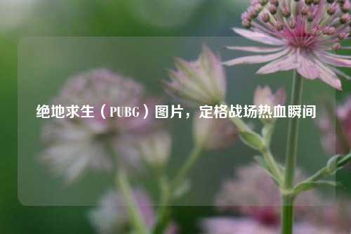 绝地求生（PUBG）图片，定格战场热血瞬间