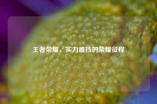 王者荣耀,实力难挡的荣耀征程