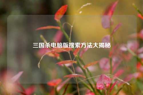 详细阅读:三国杀电脑版搜索方法大揭秘 三国杀电脑版搜索方法大揭秘