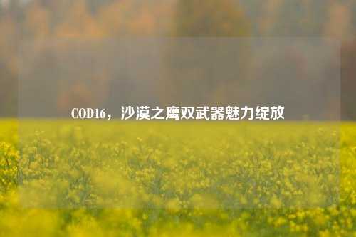 COD16，沙漠之鹰双武器魅力绽放