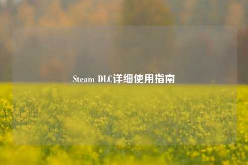 Steam DLC详细使用指南