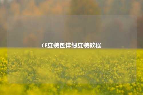 详细阅读:CF安装包详细安装教程 CF安装包详细安装教程