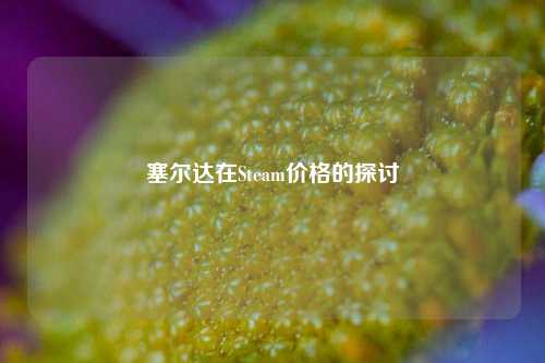 塞尔达在Steam价格的探讨