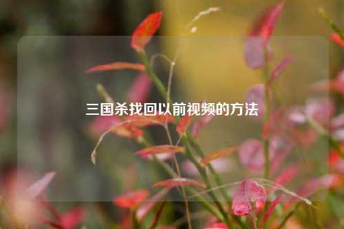 三国杀找回以前视频的方法