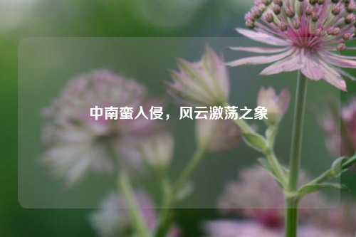 中南蛮入侵，风云激荡之象