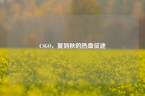 CSGO,夏到秋的热血征途 CSGO,夏到秋的热血征途