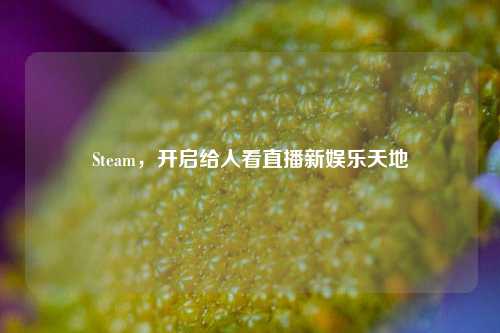 Steam，开启给人看直播新娱乐天地