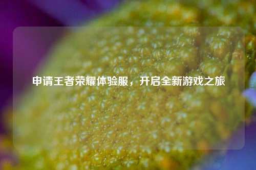 申请王者荣耀体验服，开启全新游戏之旅