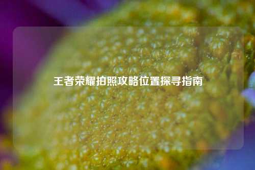 王者荣耀拍照攻略位置探寻指南