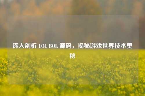 深入剖析 LOL BOL 源码，揭秘游戏世界技术奥秘