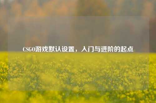CSGO游戏默认设置，入门与进阶的起点