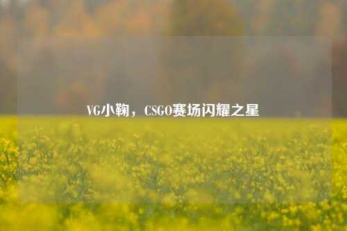 VG小鞠，CSGO赛场闪耀之星