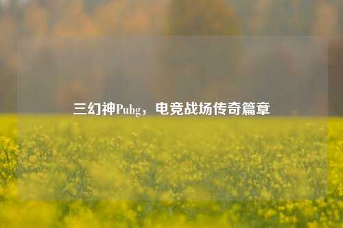 三幻神Pubg，电竞战场传奇篇章