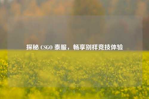 探秘 CSGO 泰服，畅享别样竞技体验