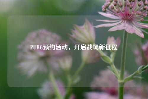 PUBG预约活动,开启战场新征程