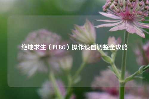 绝地求生(PUBG)操作设置调整全攻略 绝地求生(PUBG)操作设置调整全攻略