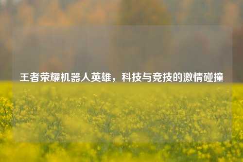 王者荣耀机器人英雄,科技与竞技的激情碰撞 王者荣耀机器人英雄,科技与竞技的激情碰撞