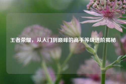 王者荣耀,从入门到巅峰的高手等级进阶揭秘