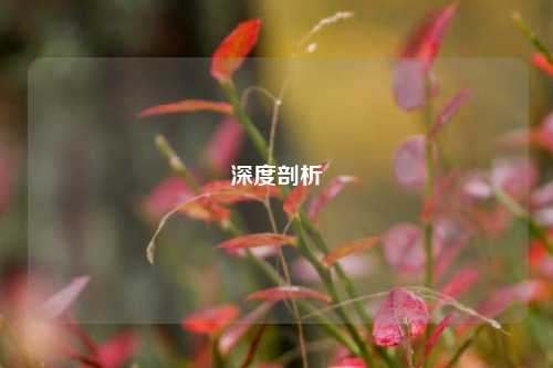 深度剖析