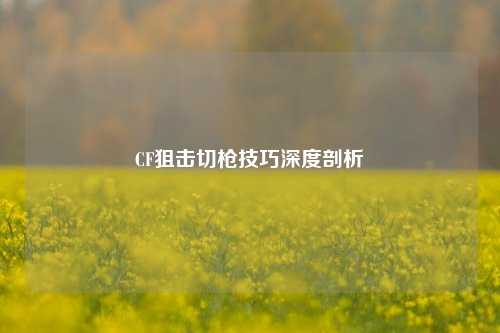 CF狙击切枪技巧深度剖析