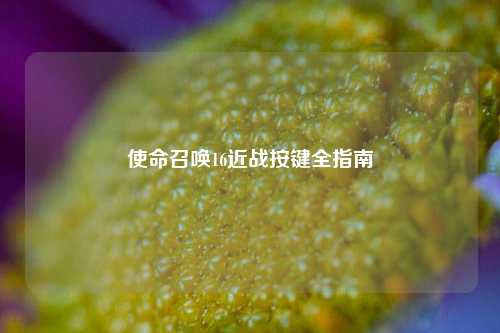 使命召唤16近战按键全指南 使命召唤16近战按键全指南
