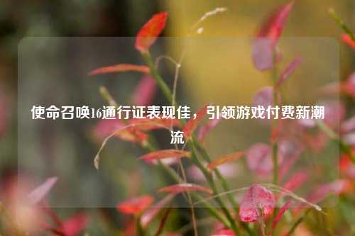 使命召唤16通行证表现佳,引领游戏付费新潮流