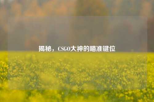 揭秘，CSGO大神的瞄准键位