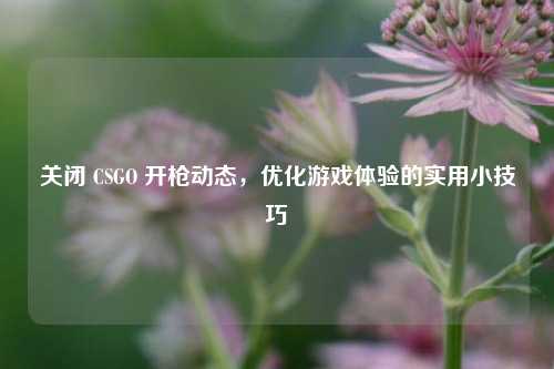 关闭 CSGO 开枪动态,优化游戏体验的实用小技巧