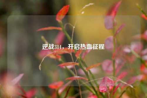 逆战314,开启热血征程