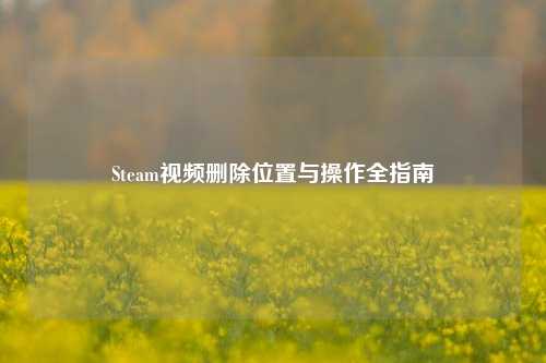 Steam视频删除位置与操作全指南 Steam视频删除位置与操作全指南