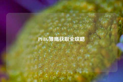 PUBG雏鹰获取全攻略
