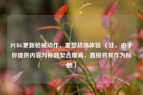 PUBG更新枪械动作,重塑战场体验 (注,由于你提供内容与标题契合度高,直接将其作为标题)