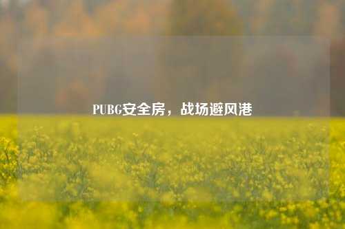 PUBG安全房，战场避风港