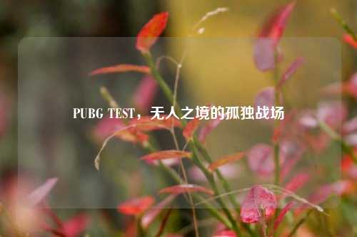 PUBG TEST,无人之境的孤独战场 PUBG TEST,无人之境的孤独战场