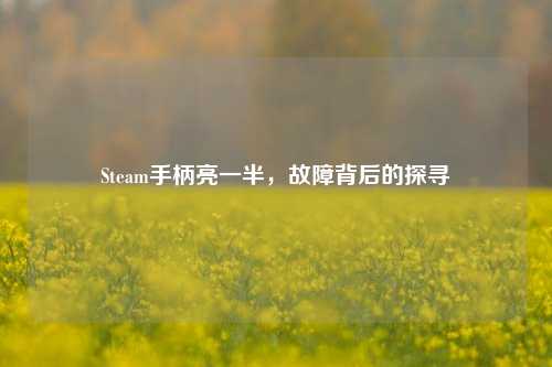 Steam手柄亮一半,故障背后的探寻