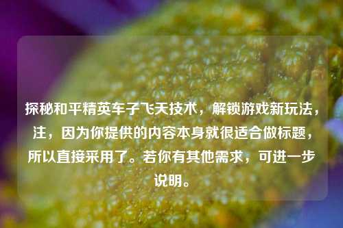 探秘和平精英车子飞天技术，解锁游戏新玩法，注，因为你提供的内容本身就很适合做标题，所以直接采用了。若你有其他需求，可进一步说明。