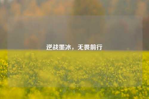 逆战墨冰，无畏前行