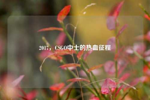 2017，CSGO中士的热血征程
