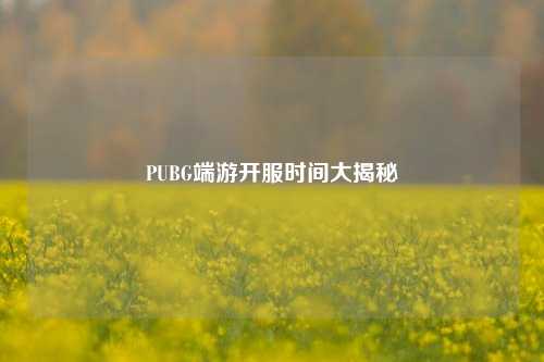 PUBG端游开服时间大揭秘
