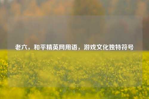 老六，和平精英网用语，游戏文化独特符号