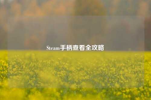 Steam手柄查看全攻略